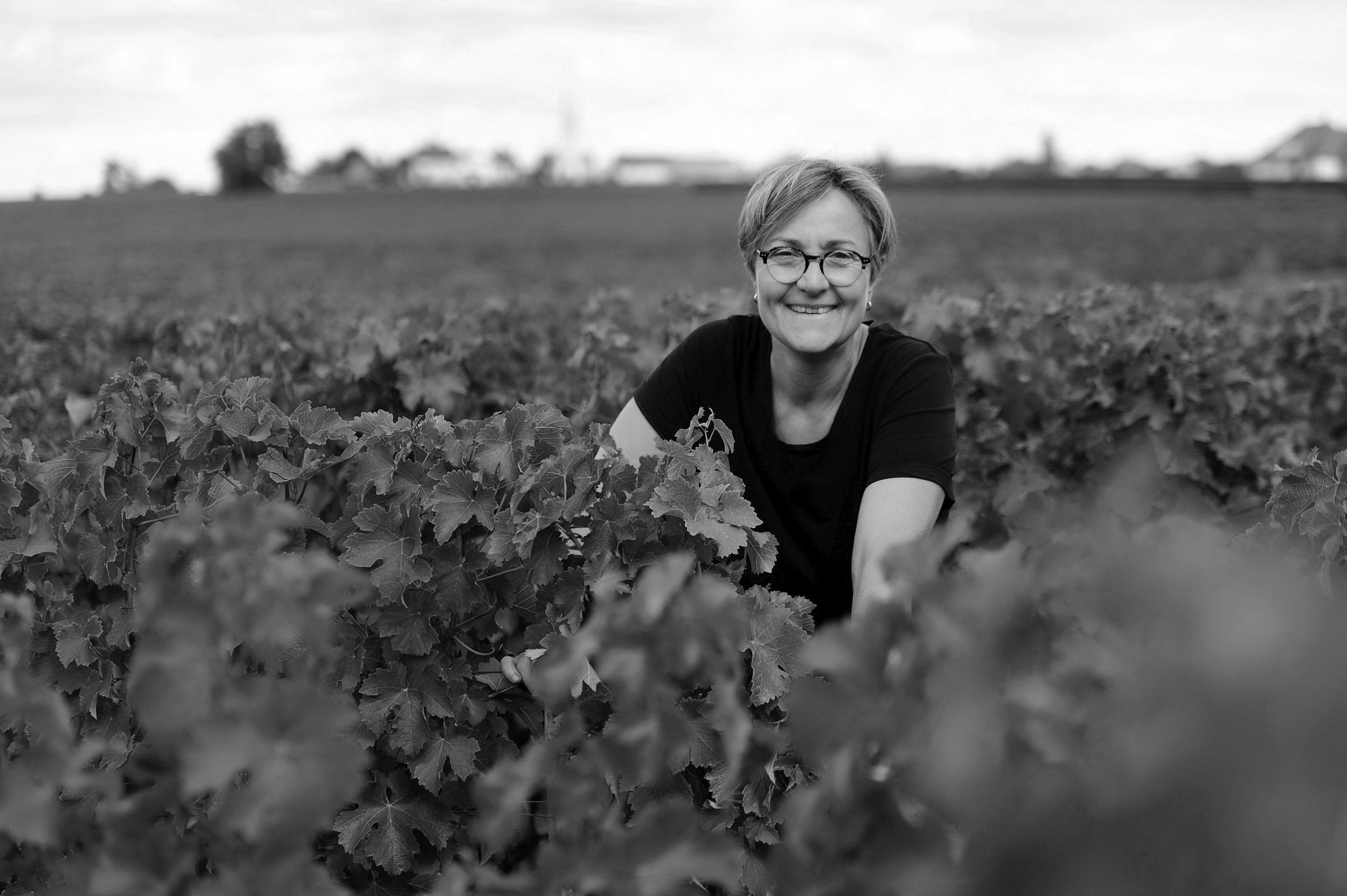 Domaine Serge Dageuneau et Filles ~ Saint Andelain