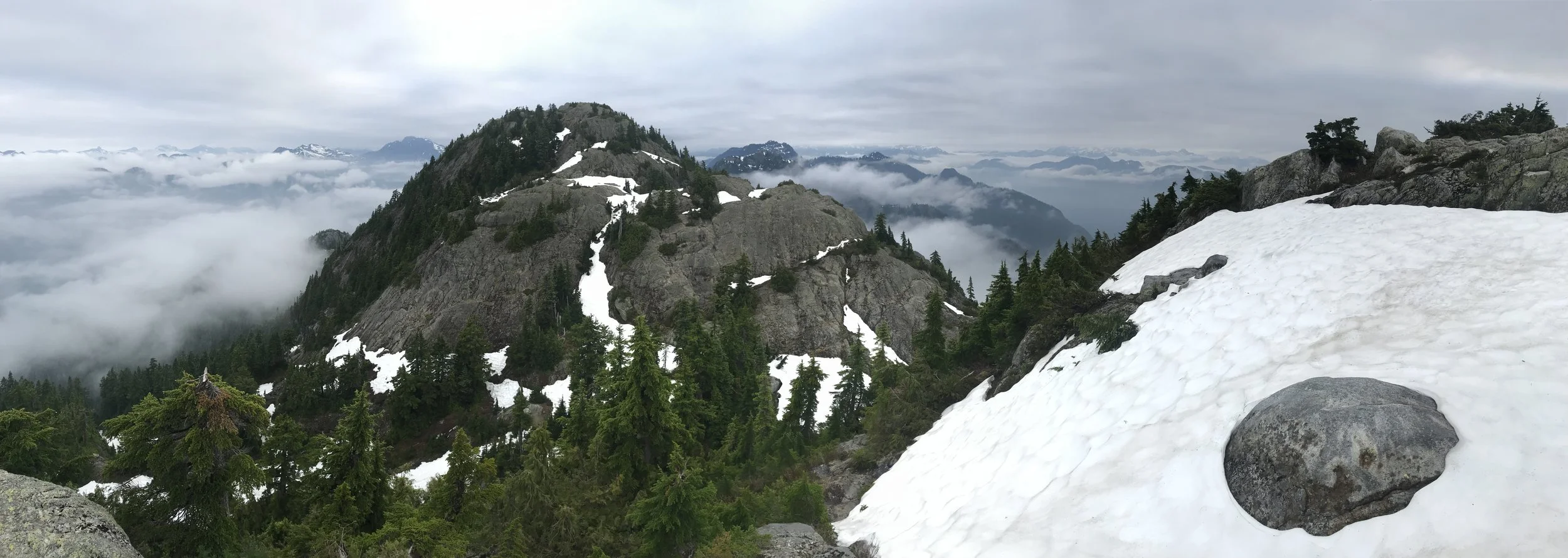 Mountain Bird Network — Ben Freeman