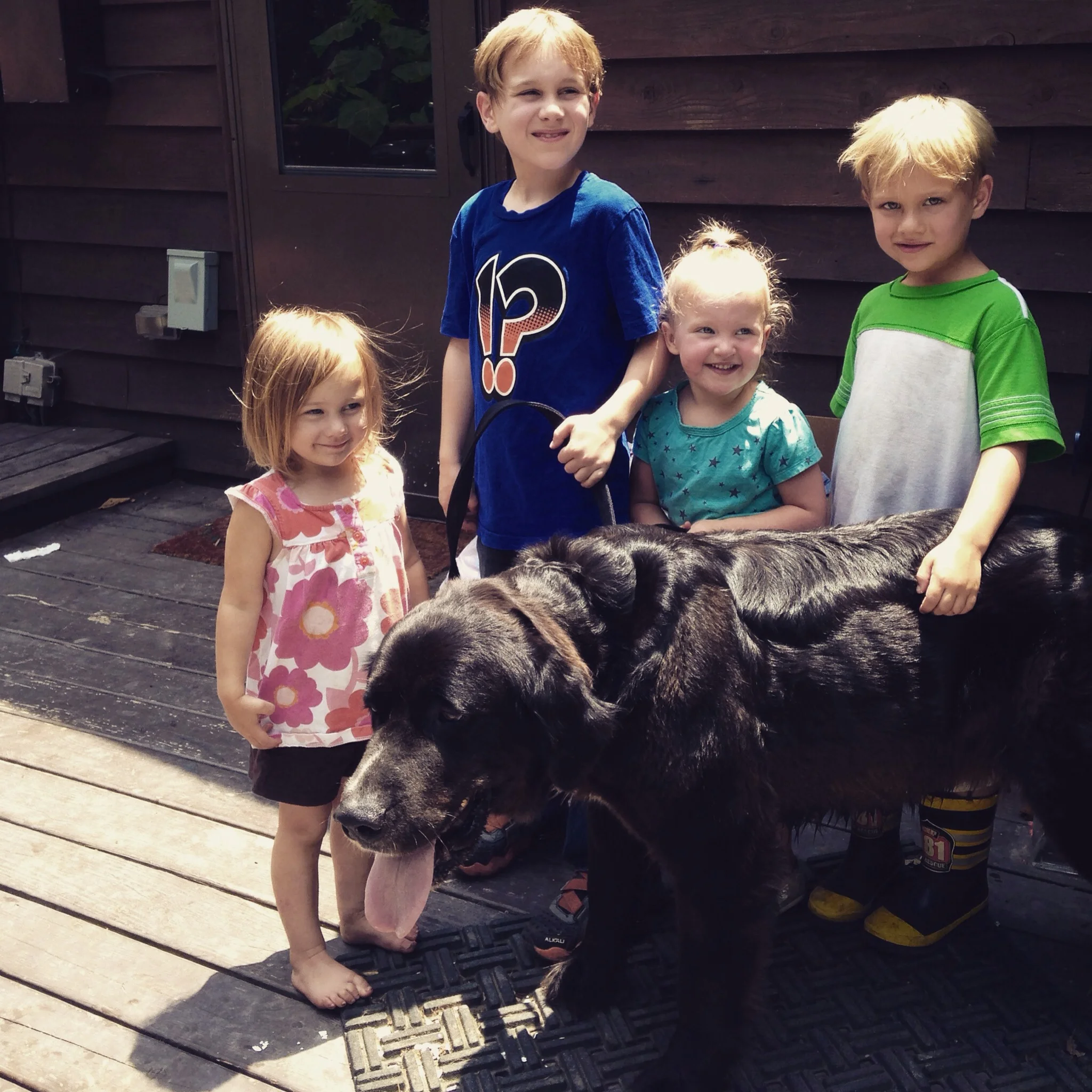 The last picture of Lexie with four of our five babies.