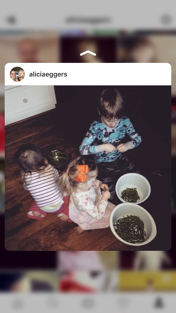 Homeschooling is preparing meals.
