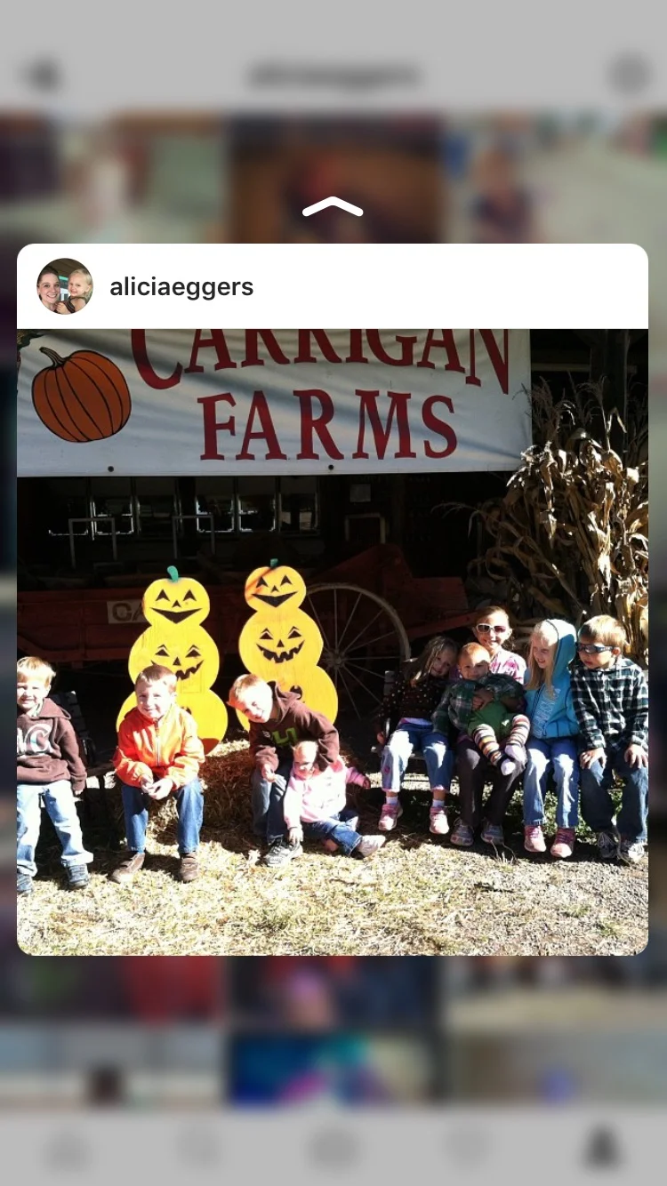 Homeschooling is the freedom to choose your field trips...and go on as many as you want to.