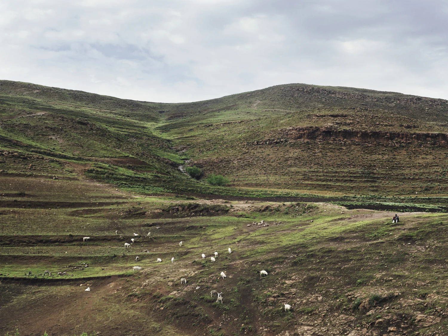 Maseru_Card2_0421_RGB_F2 copy.JPG