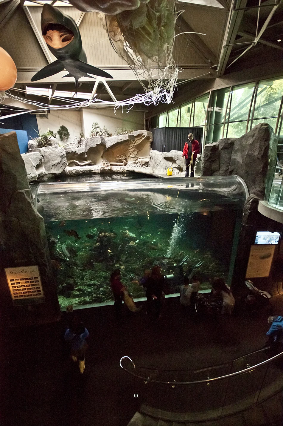 It was feeding and cleaning time at the big tank.