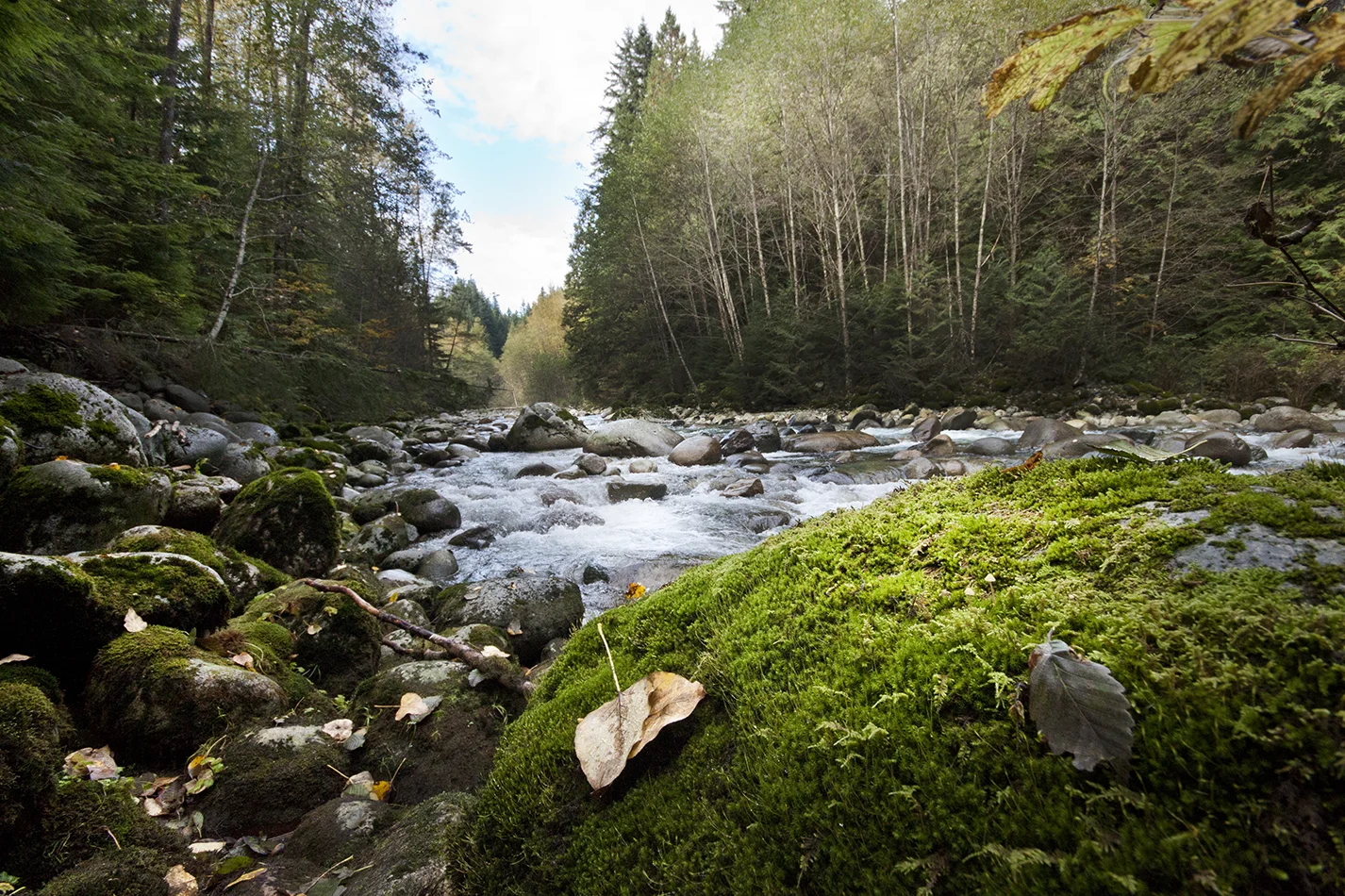 Lynn Canyon Park