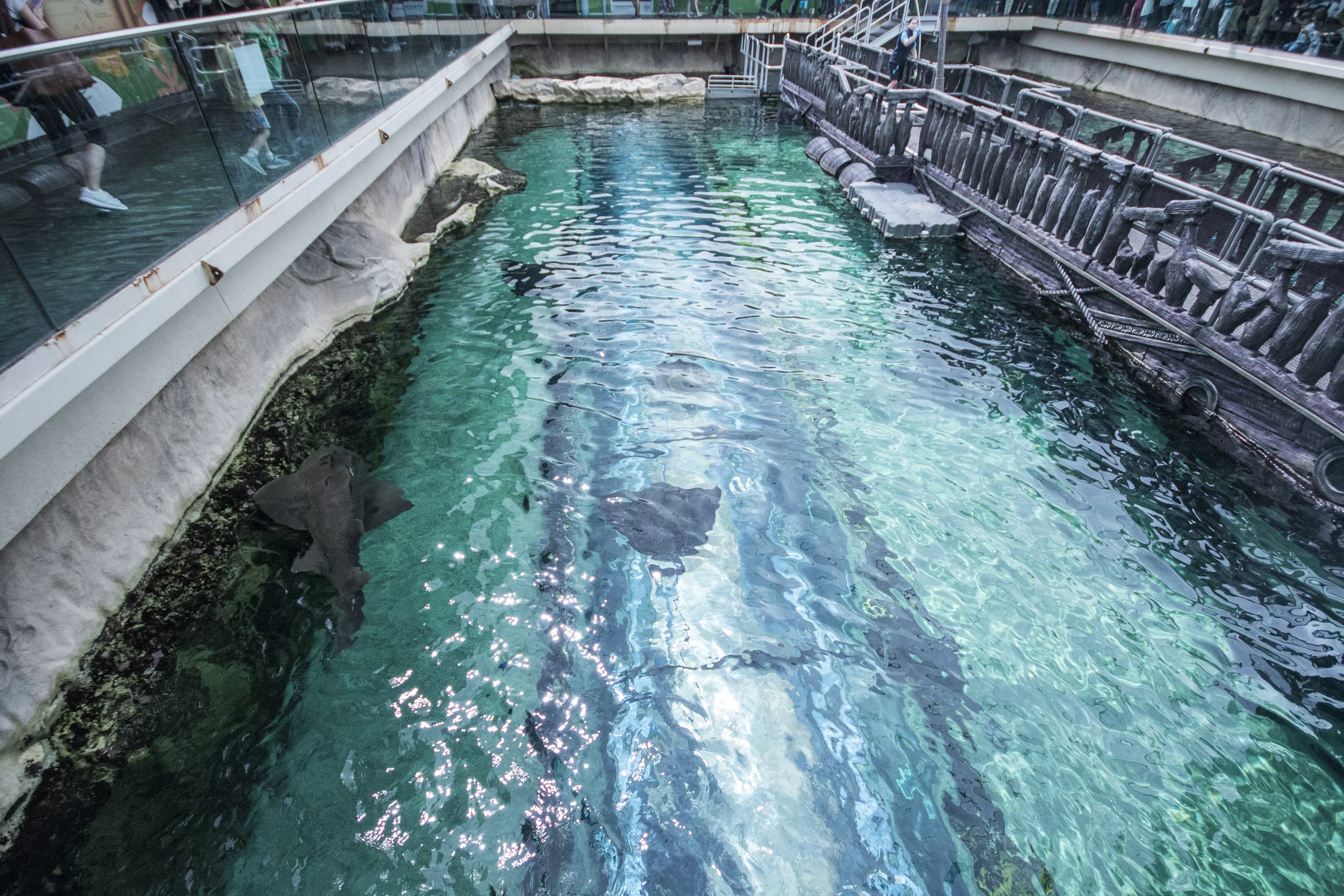 The top views of the walk-through aquarium.