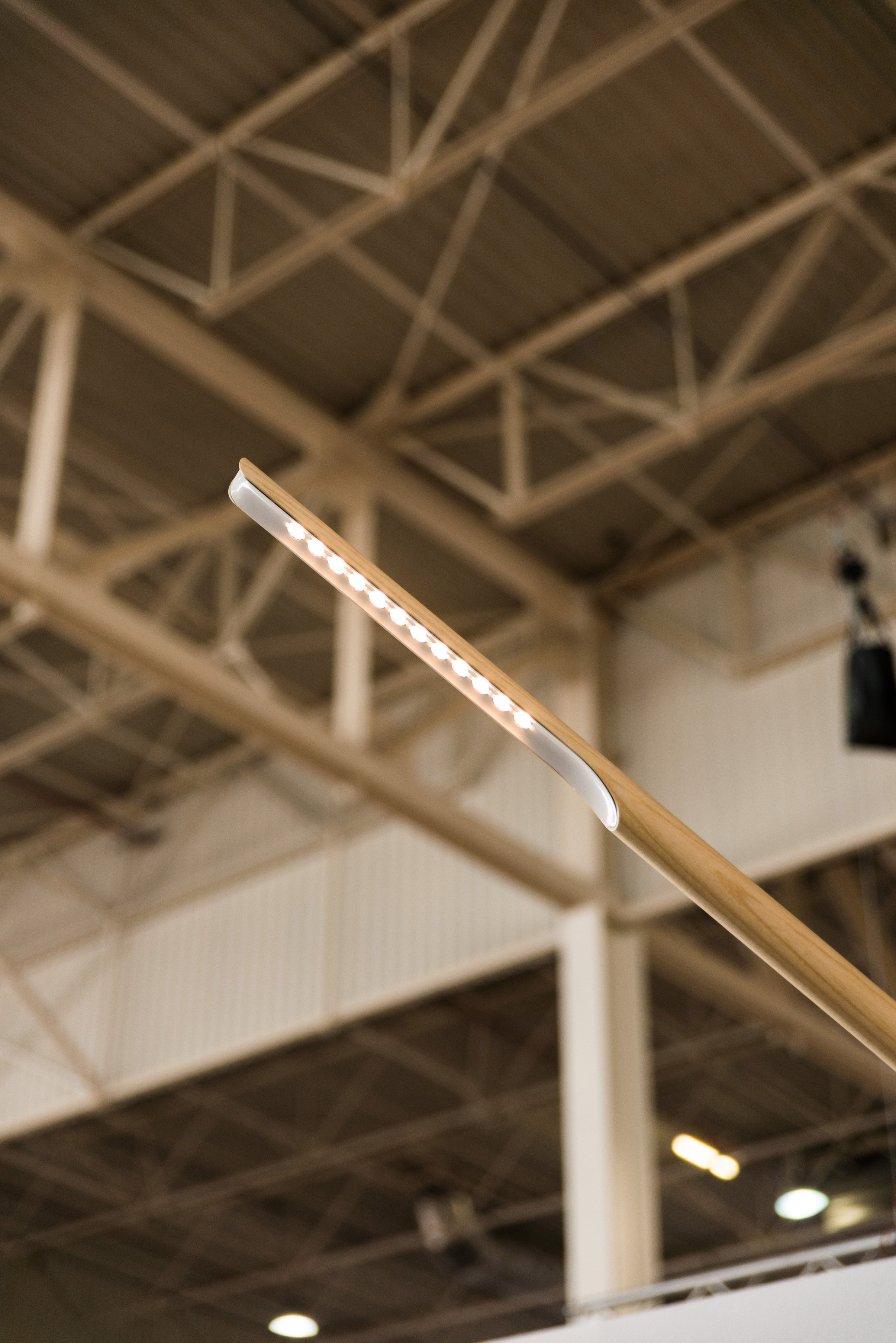 We introduced our new lamp Woodpecker at the fair!
