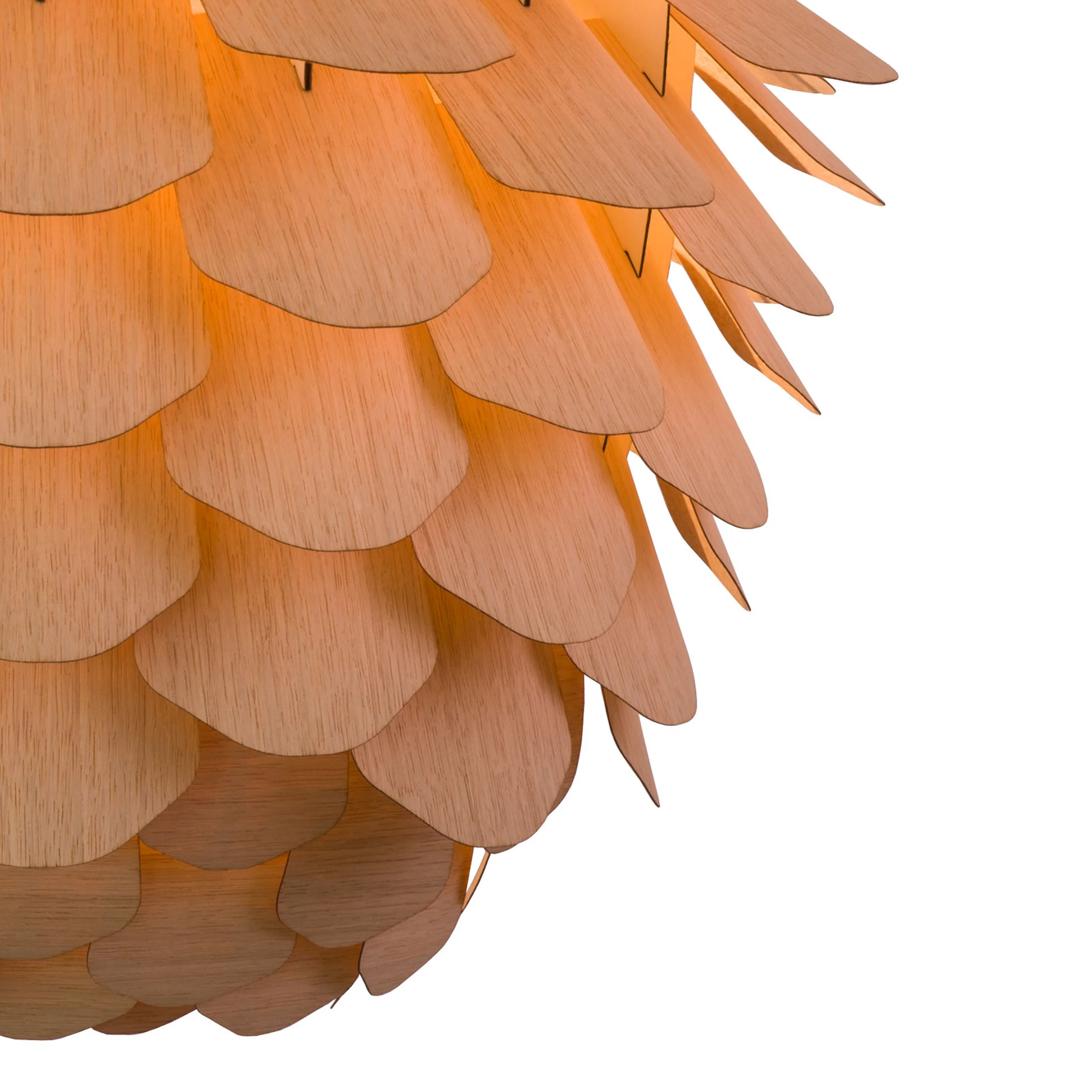 ZAPPY_OAK_BIG-PINE_white_on.jpg