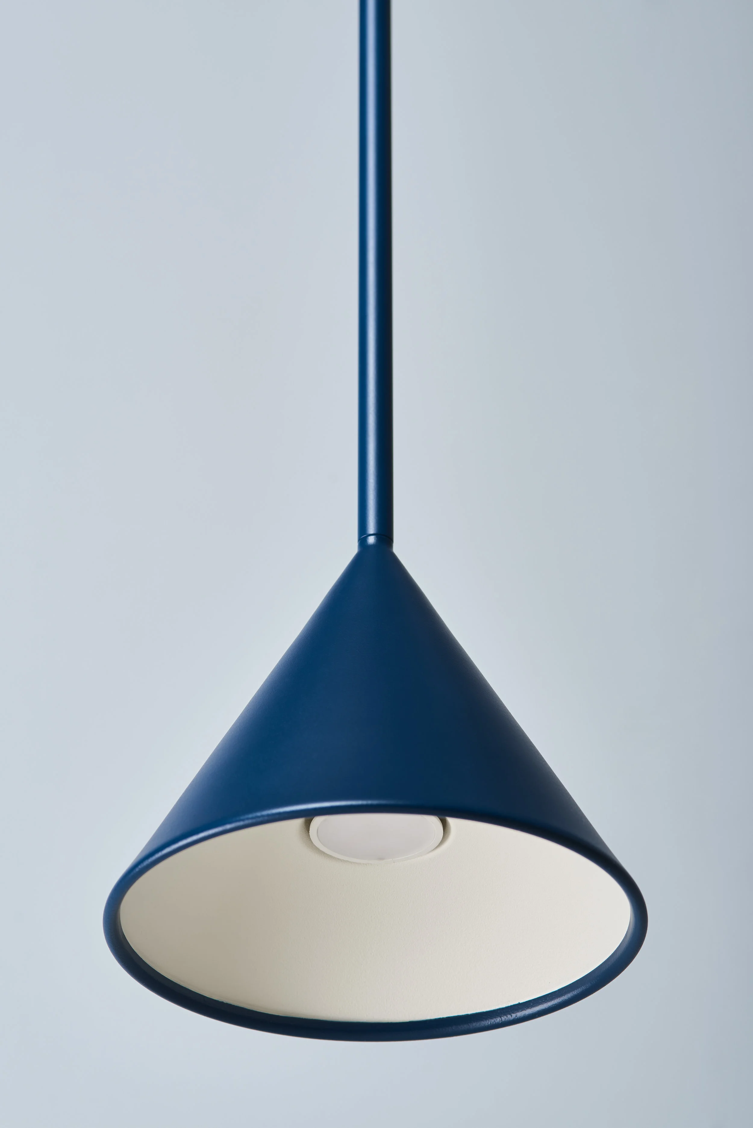 FIGURA_BLUE_CONE_02.jpg
