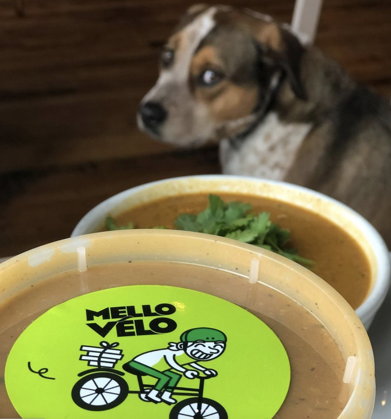 Screen Shot 2022-01-25 at 8.37.58 AM.png