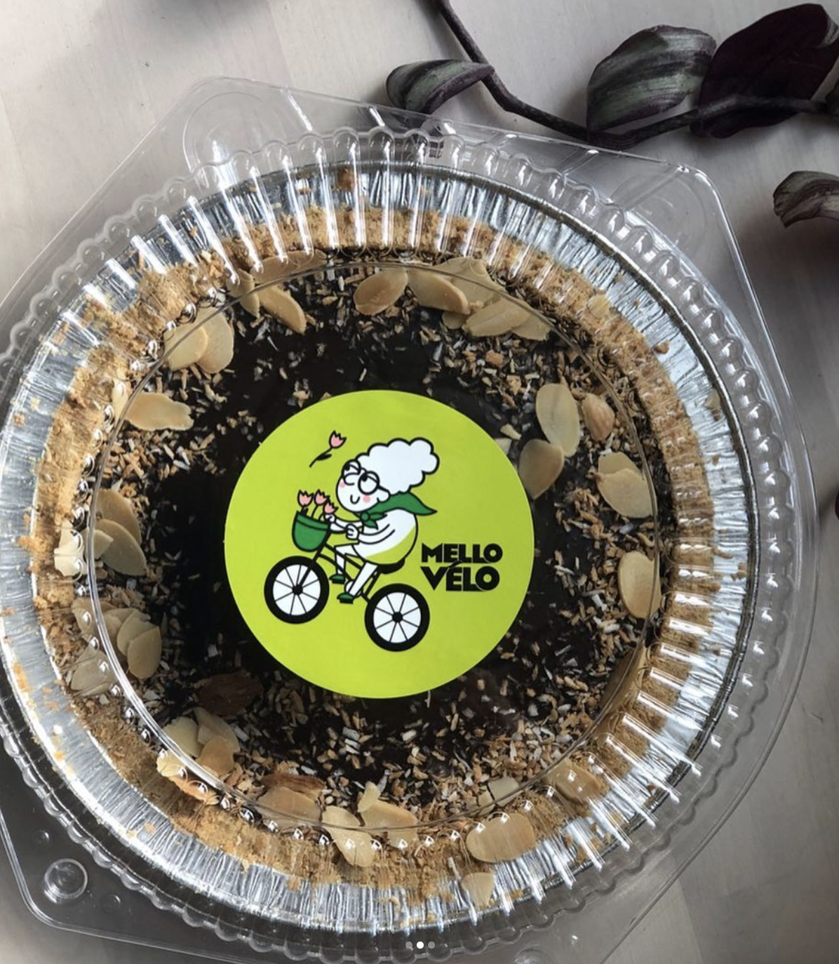 Screen Shot 2022-01-25 at 8.38.07 AM.png