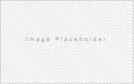 movie placeholder.png