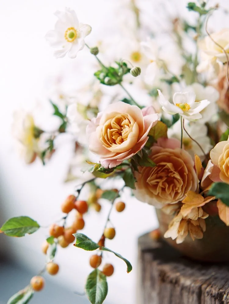 Autumn Collected Intensive