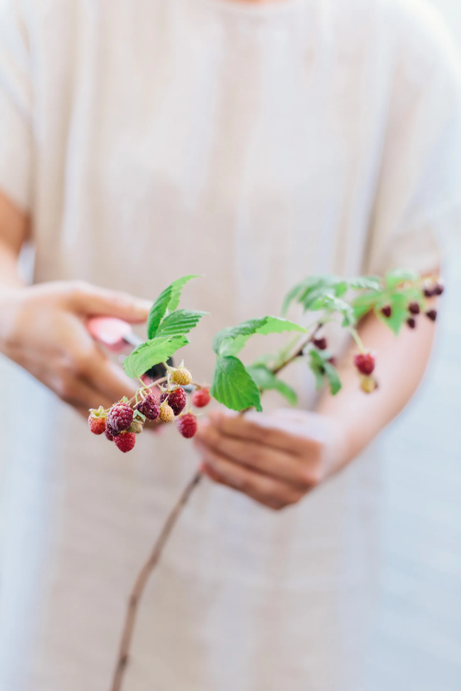 Summer Berry Mentorship