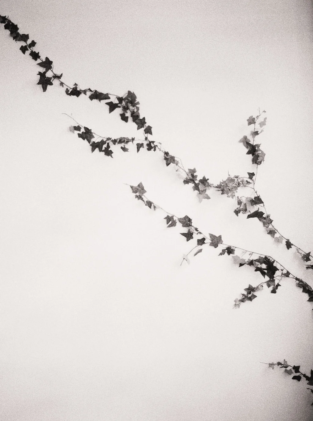 LOOM series | Studio by Erich McVey