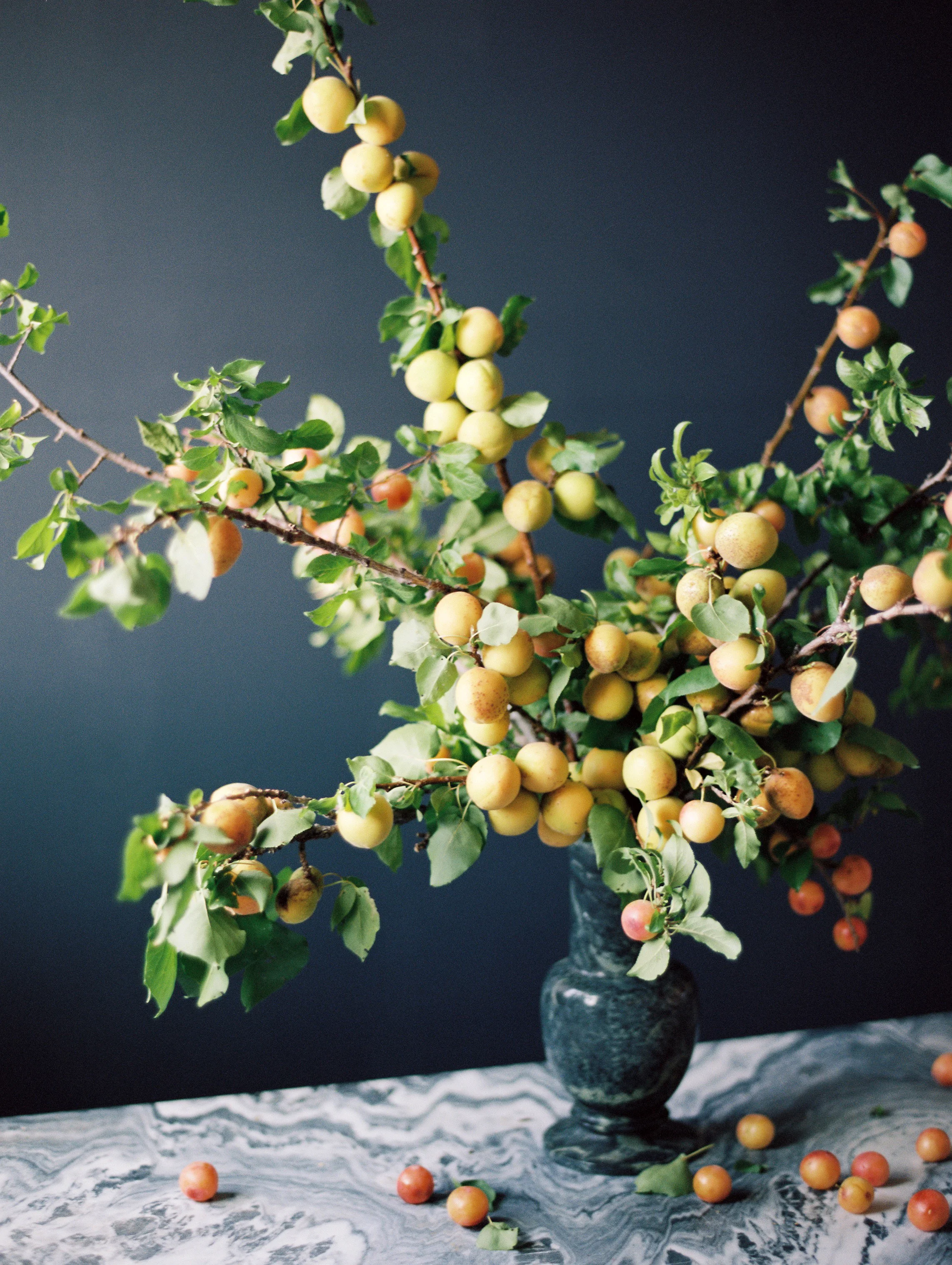 Arrangement1.jpg