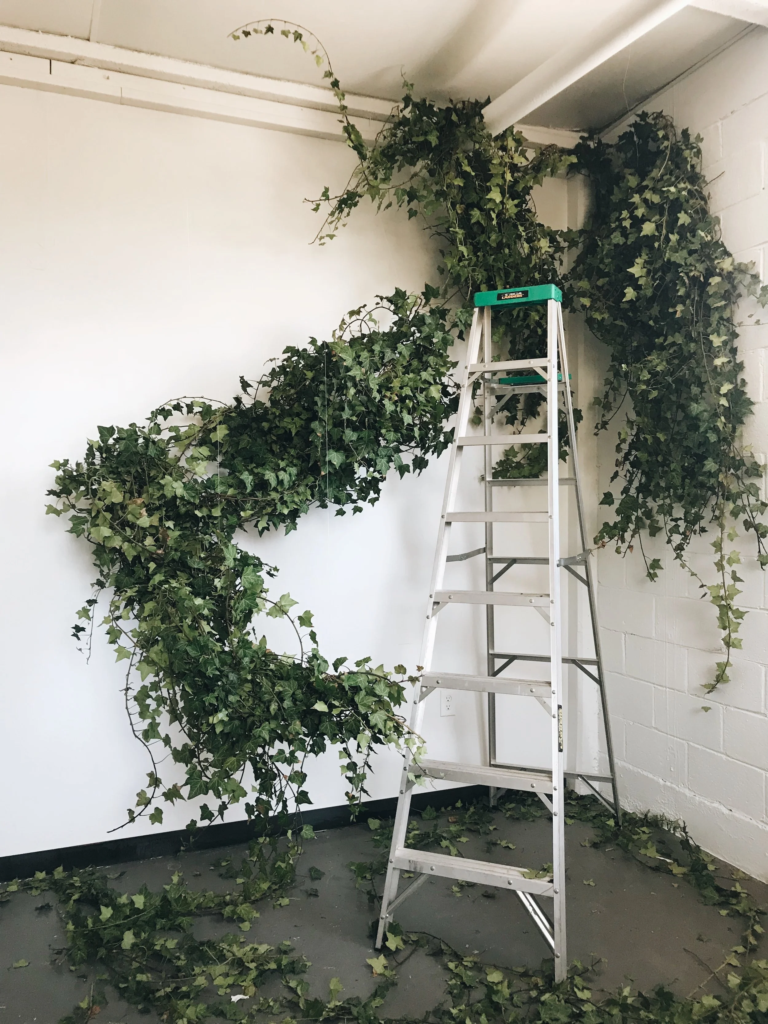 6337D128-E53D-455D-88B7-260285587C59 2.JPG