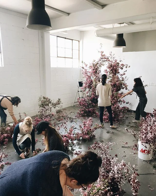 I&rsquo;m thrilled to be running a special in-studio installation workshop in September. During the class, we&rsquo;ll get to work with the season&rsquo;s best materials as we create our own imaginative installations; both a growing arbor installatio