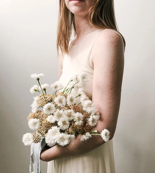 Little wildflower posy. 🌾