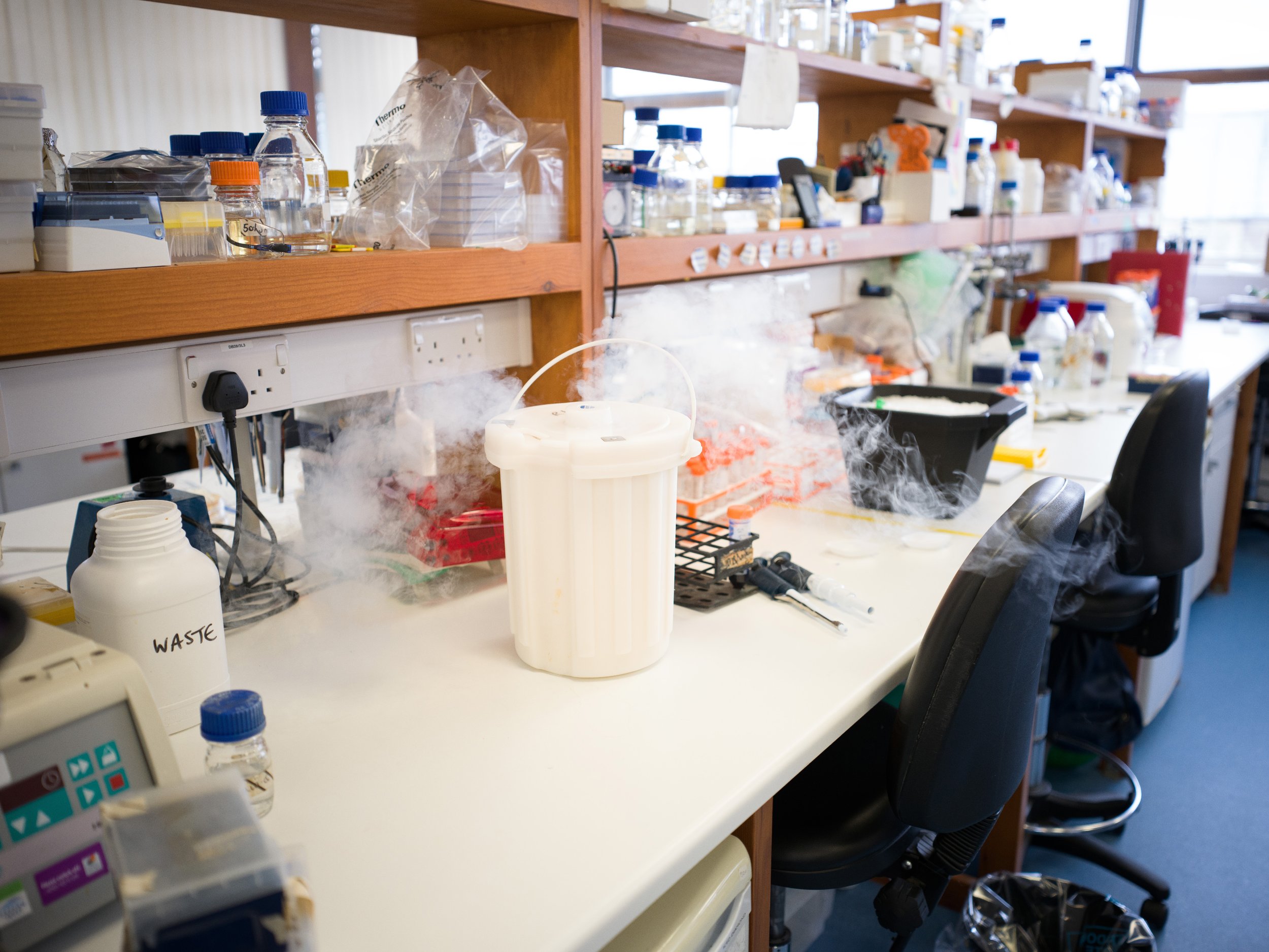 FREDERICKPAXTON_GDM-22 copy.jpg