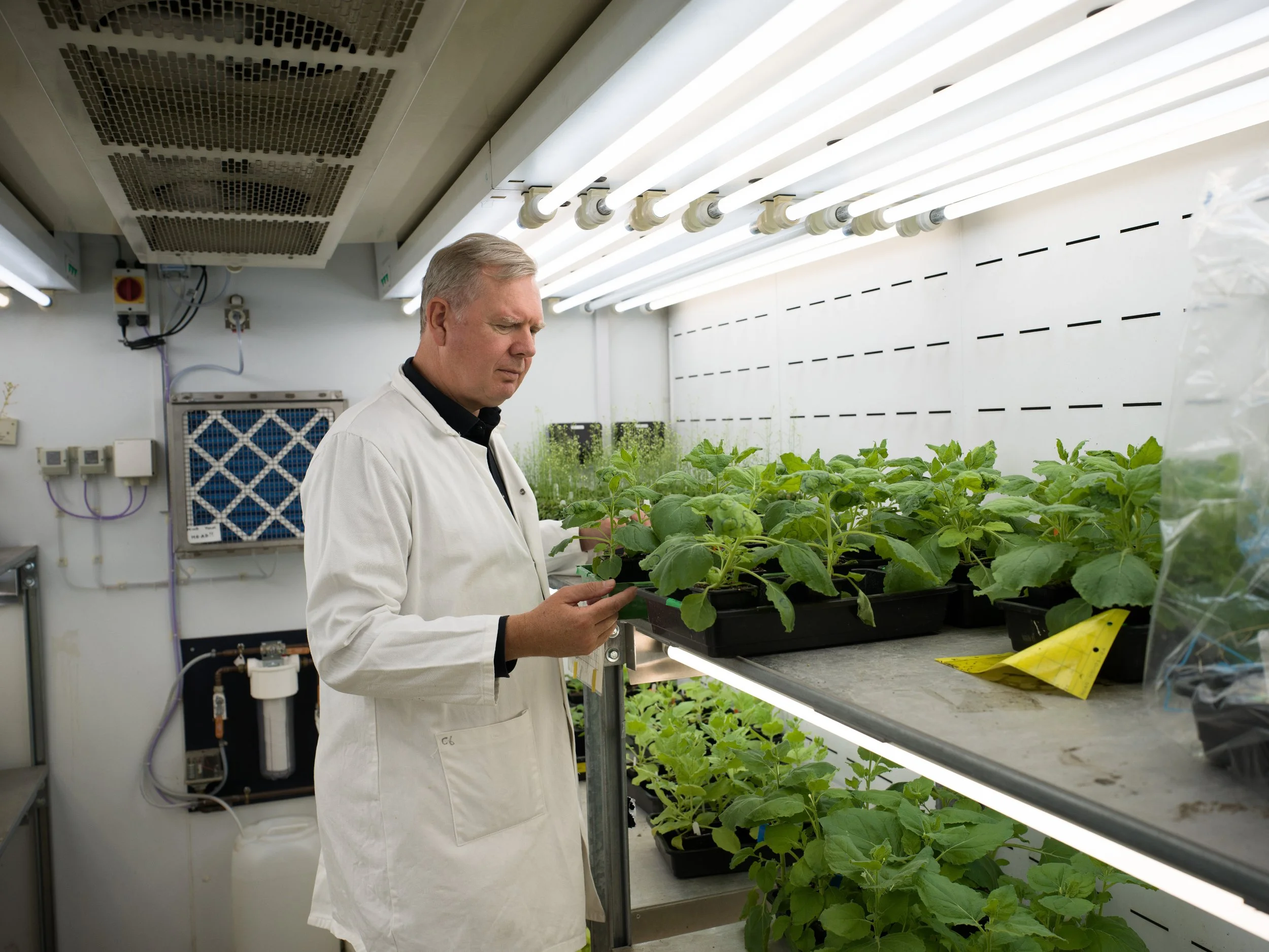 FREDERICKPAXTON_GDM-21 copy.jpg