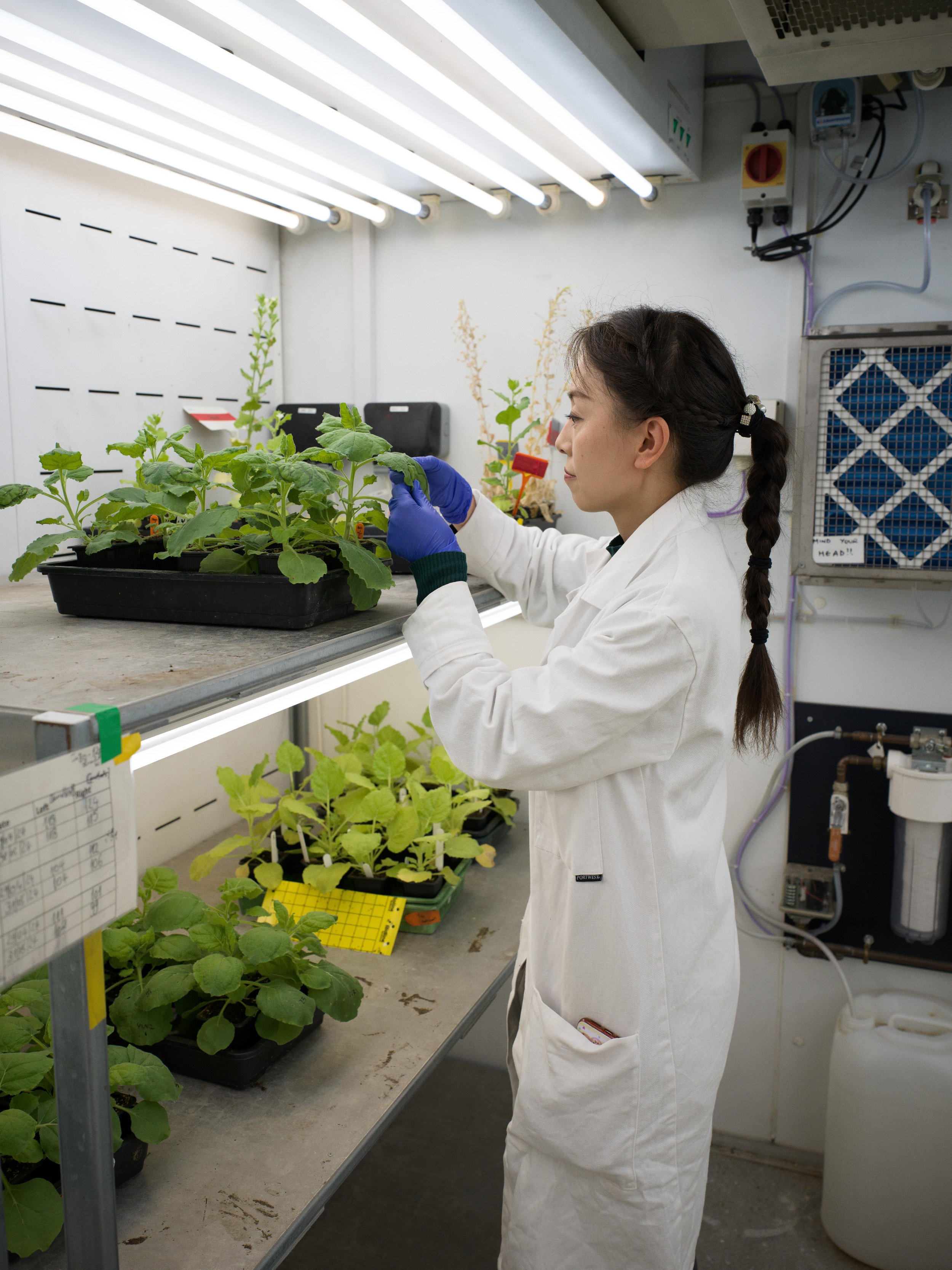 FREDERICKPAXTON_GDM-20 copy.jpg