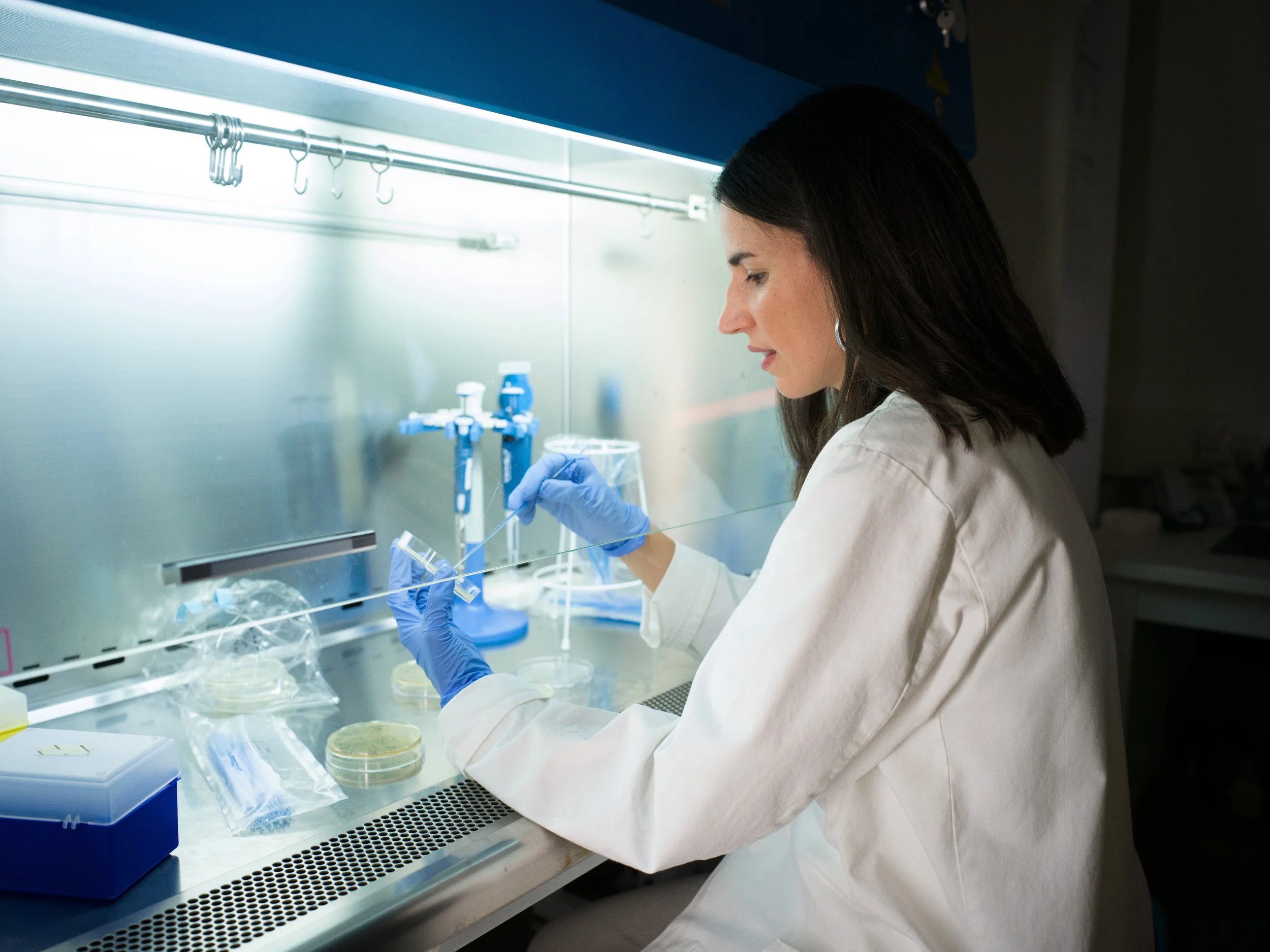 FREDERICKPAXTON_GDM-18 copy.jpg