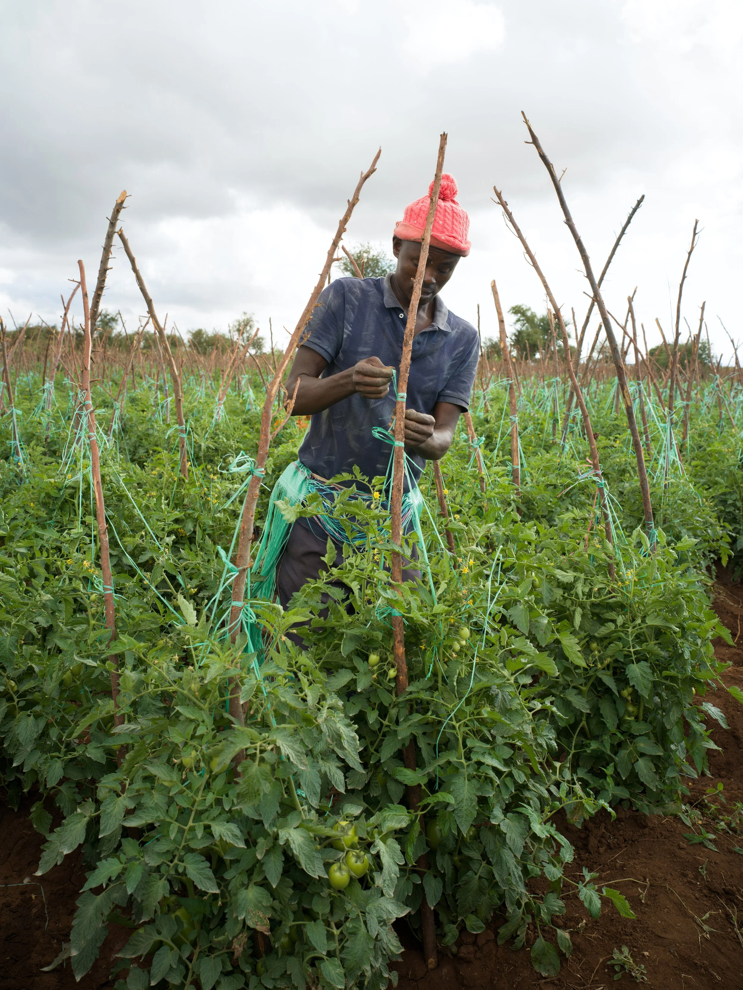 FREDERICKPAXTON_GDM-17 copy.jpg