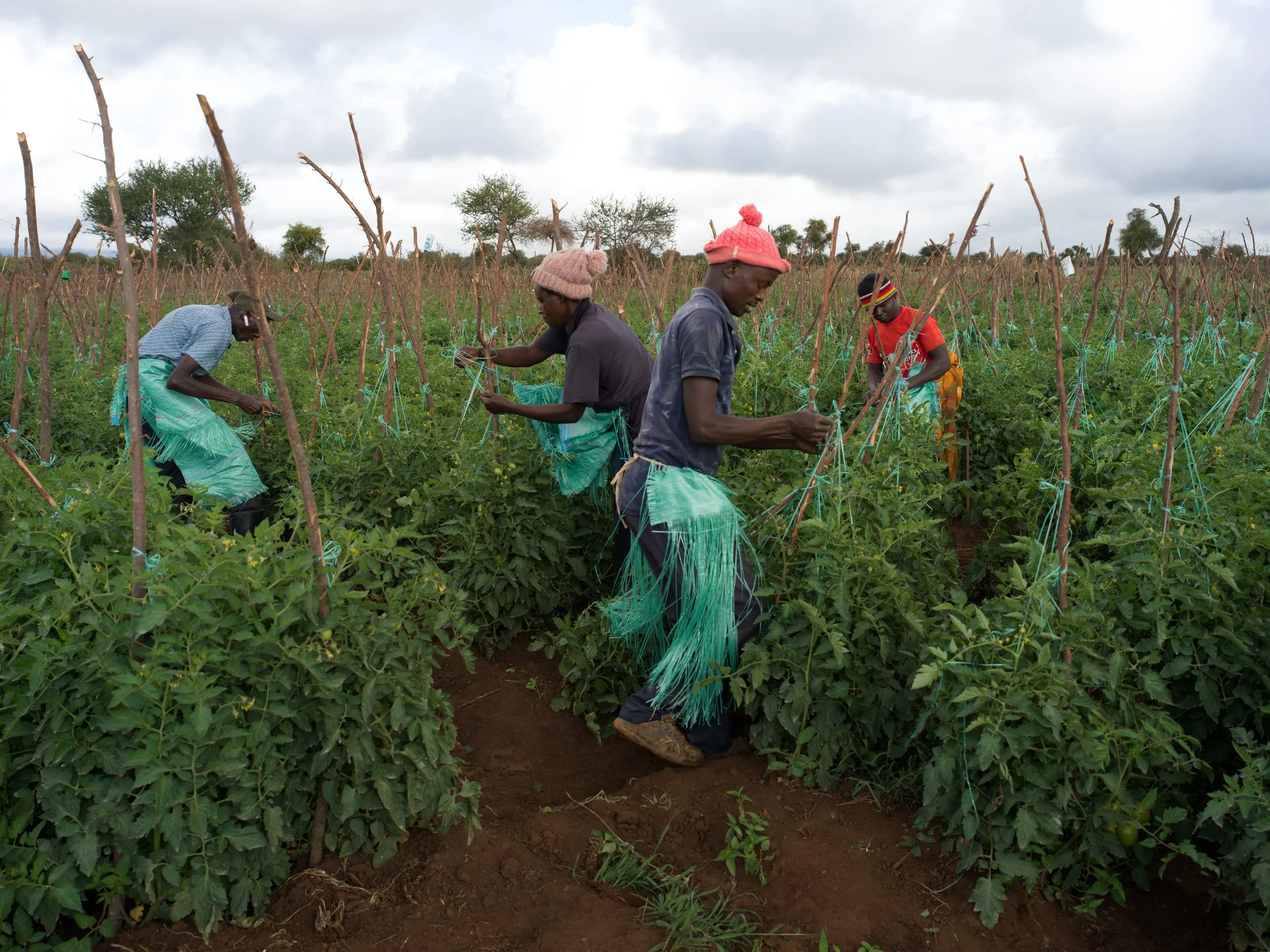 FREDERICKPAXTON_GDM-16 copy.jpg