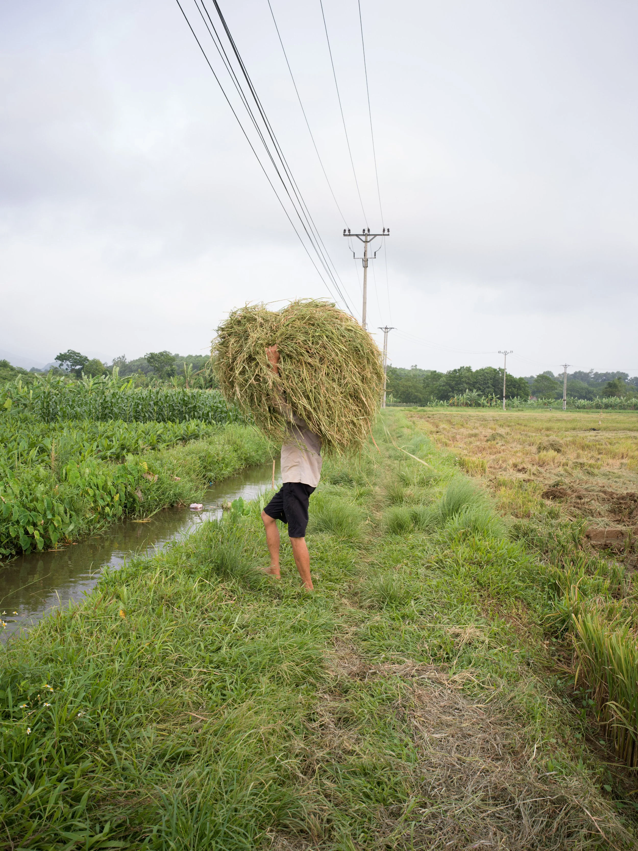 FREDERICKPAXTON_GDM-10 copy.jpg