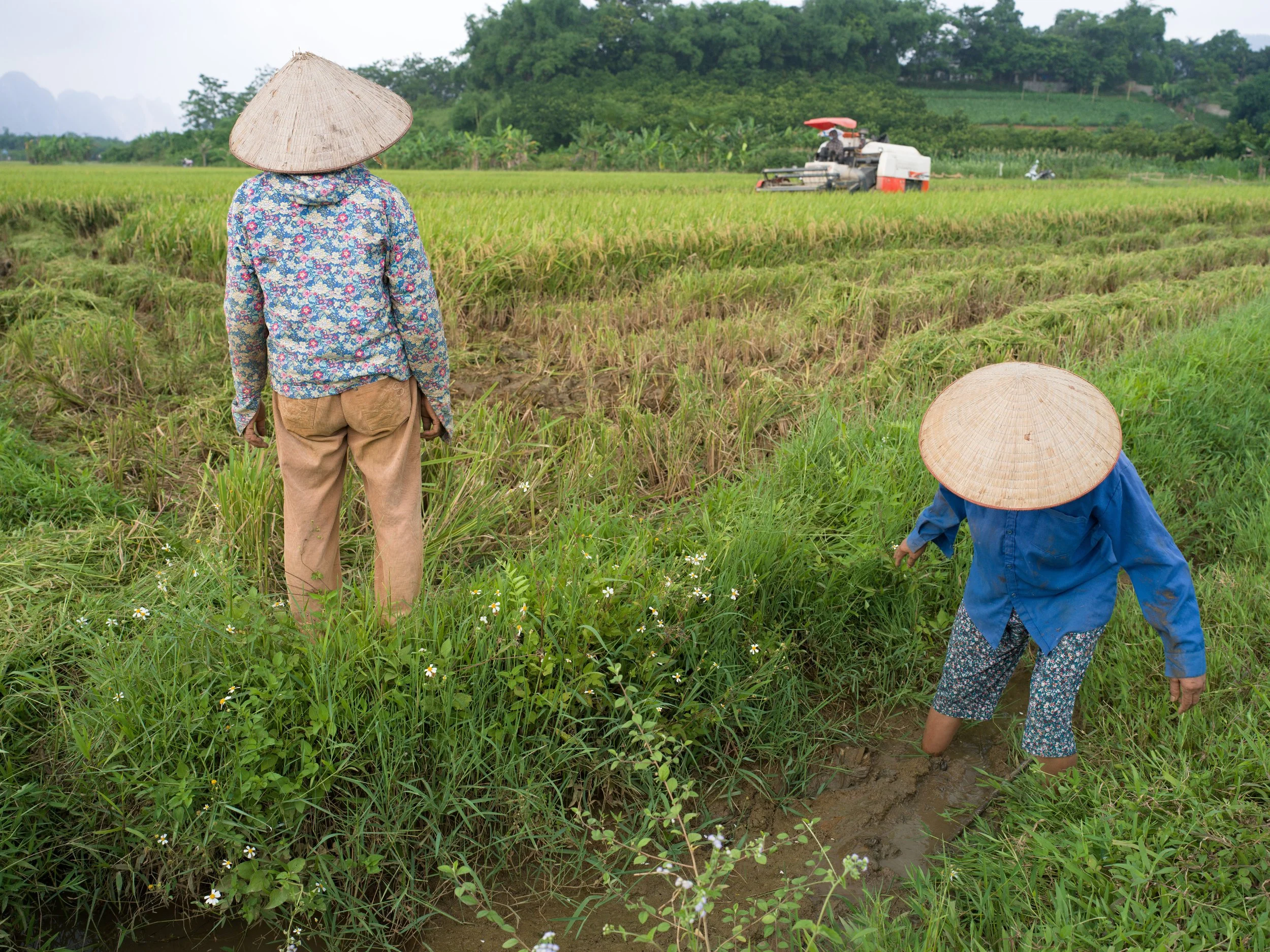 FREDERICKPAXTON_GDM-11 copy.jpg