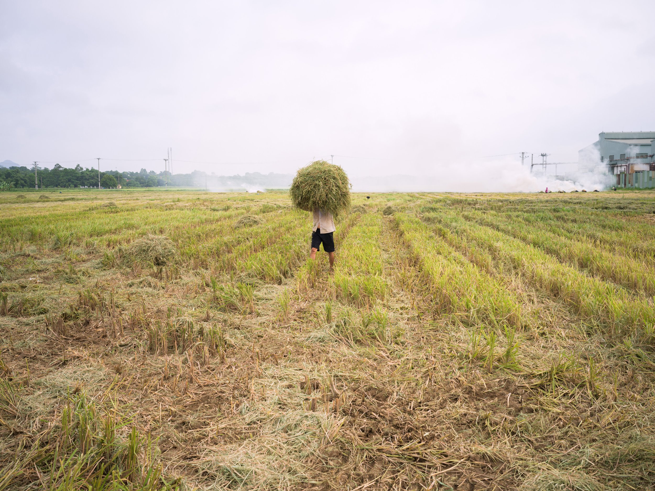 FREDERICKPAXTON_GDM-9 copy.jpg