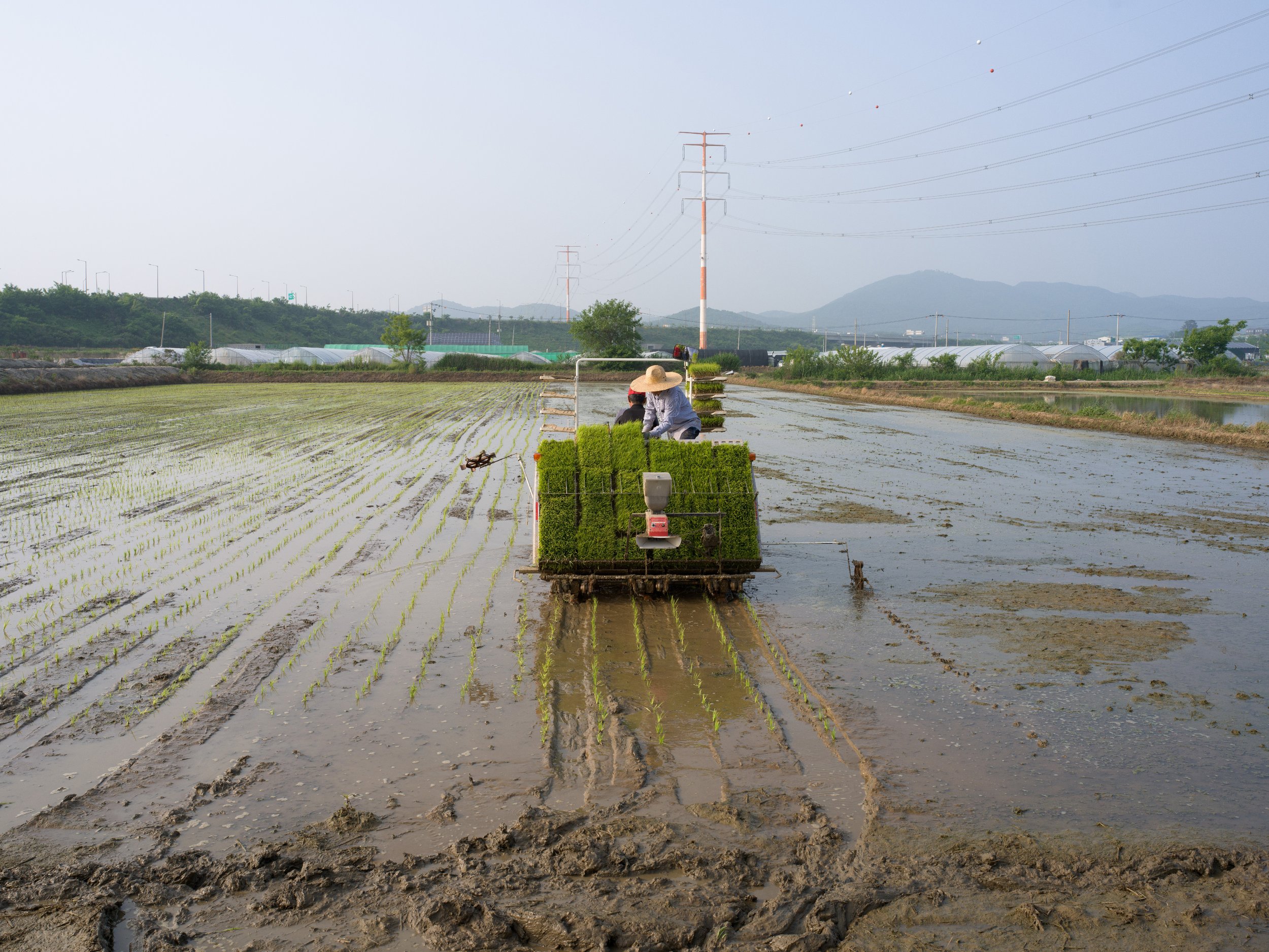 FREDERICKPAXTON_GDM-4 copy.jpg