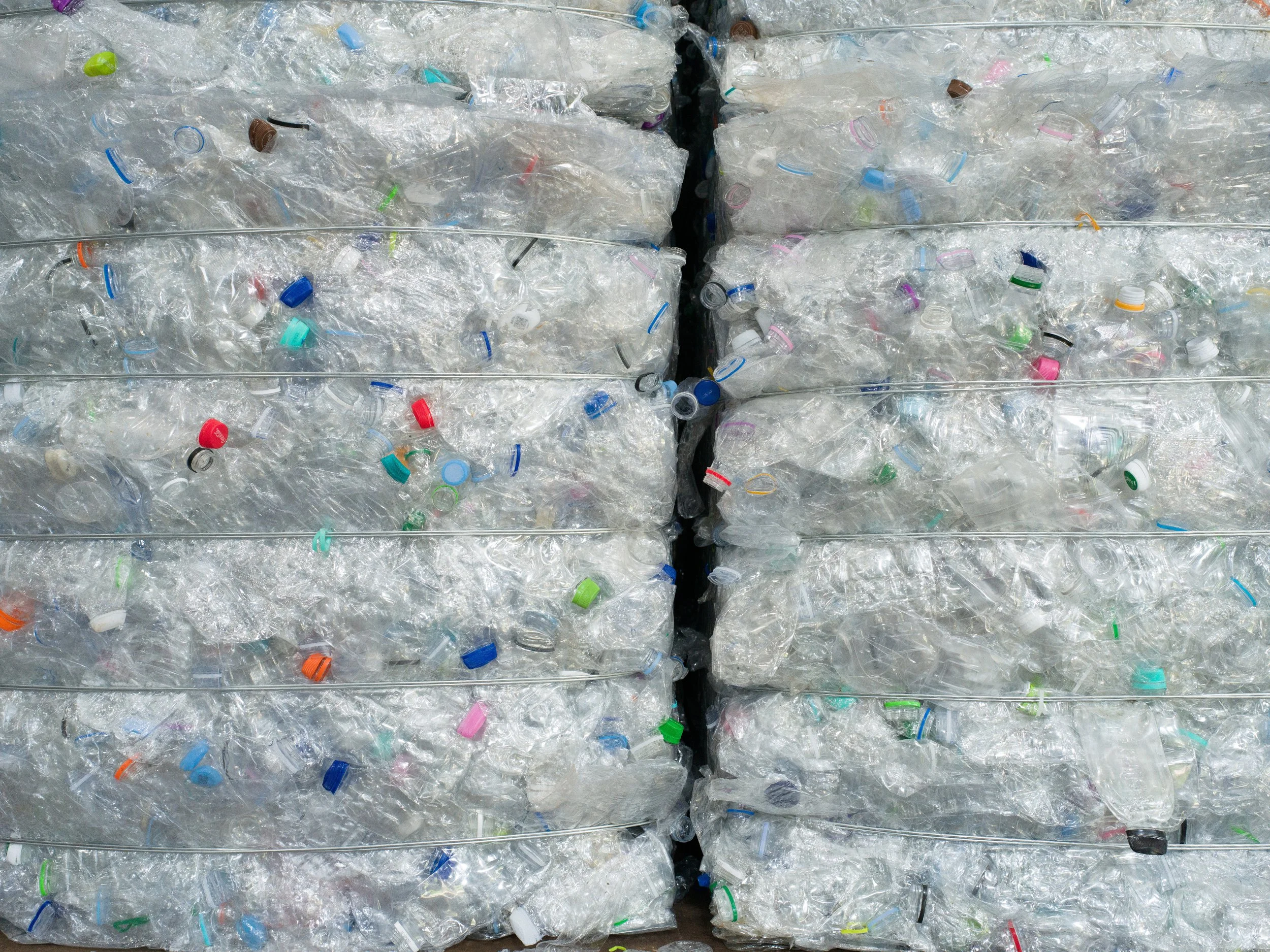 FREDERICKPAXTON_GDM-1 copy.jpg