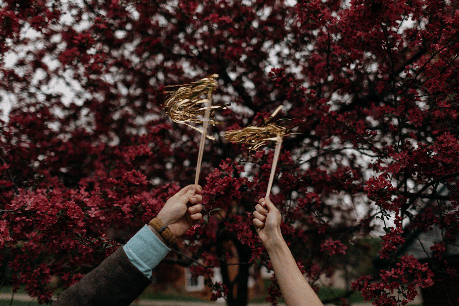 Untitled6 copy 2.gif