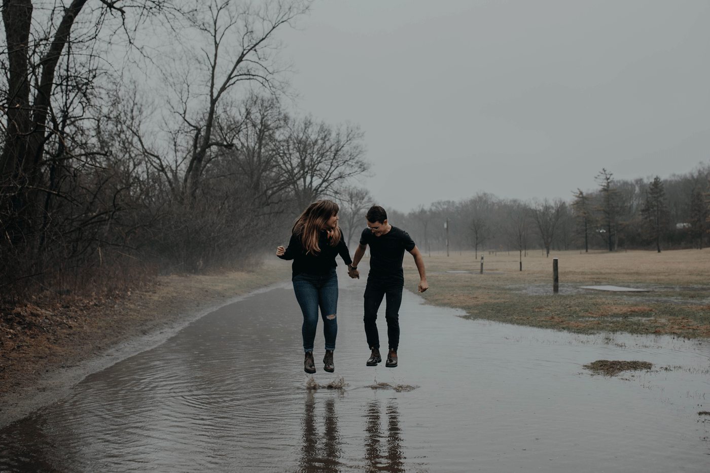 Untitled12.gif