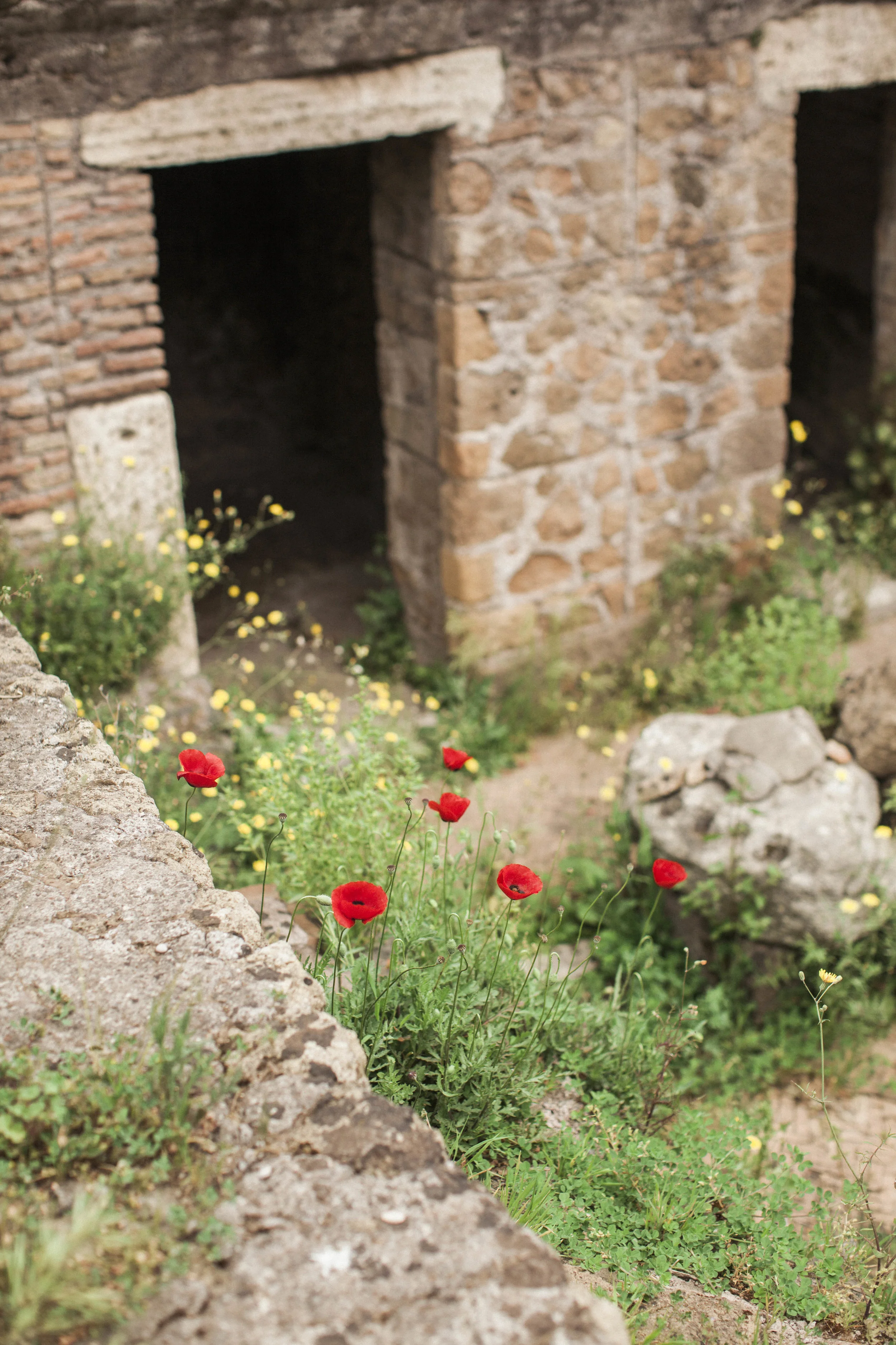 Rome_Two_Moon_Photography-1016.jpg