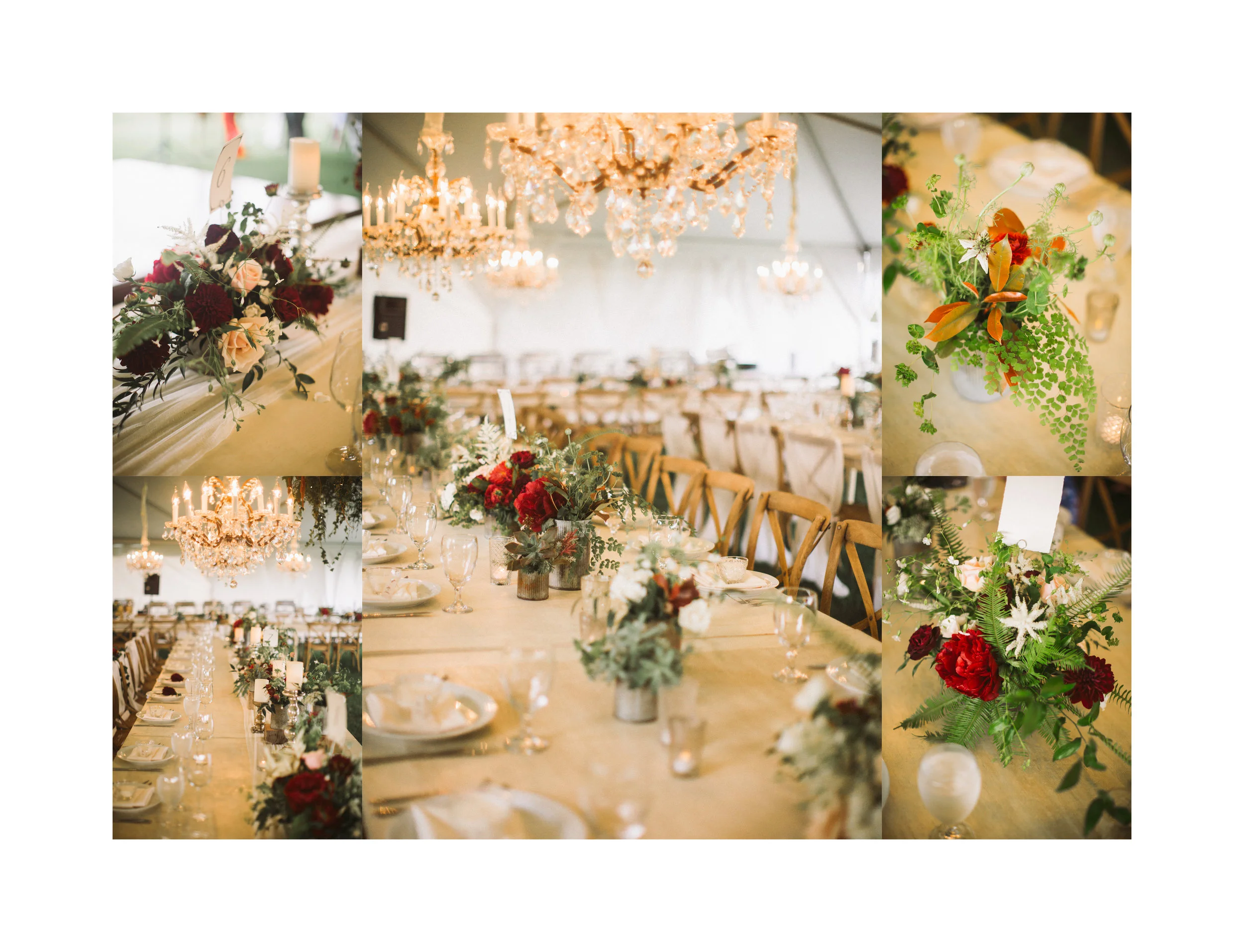 Alannah&Dane_034.jpg