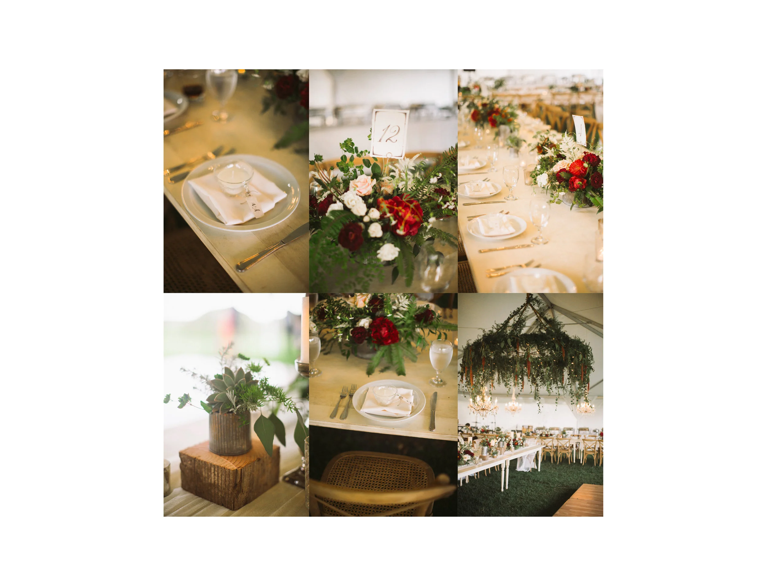 Alannah&Dane_035.jpg