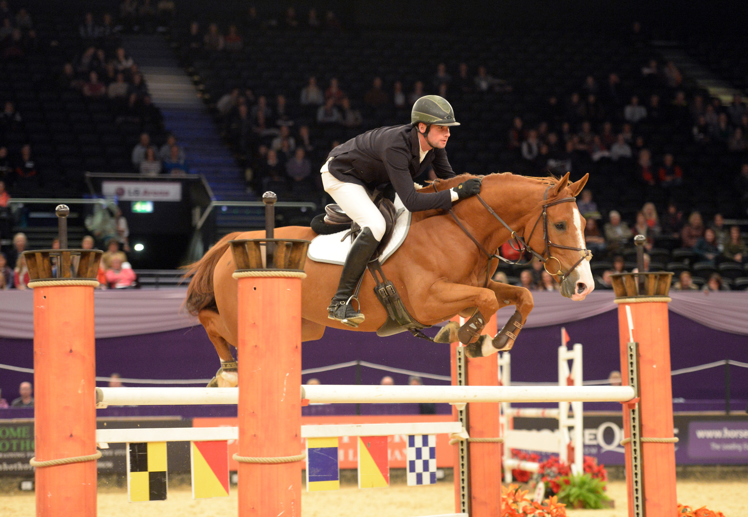 Global van't Braunerhof - Best Seven Year Old HOYS 2013