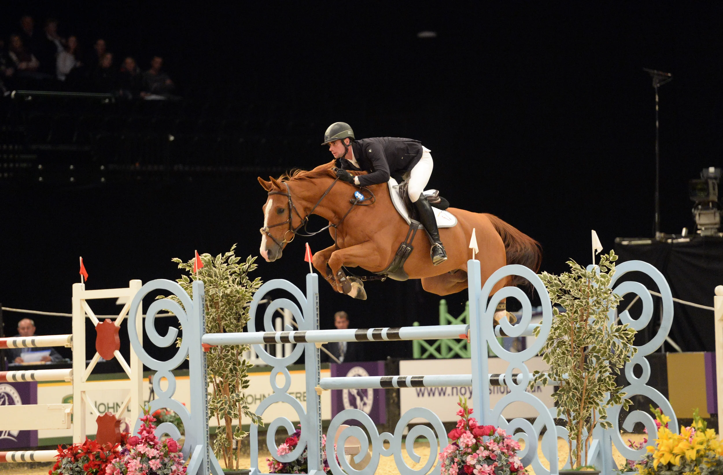 Global van't Braunerhof - Best Seven Year Old HOYS 2013