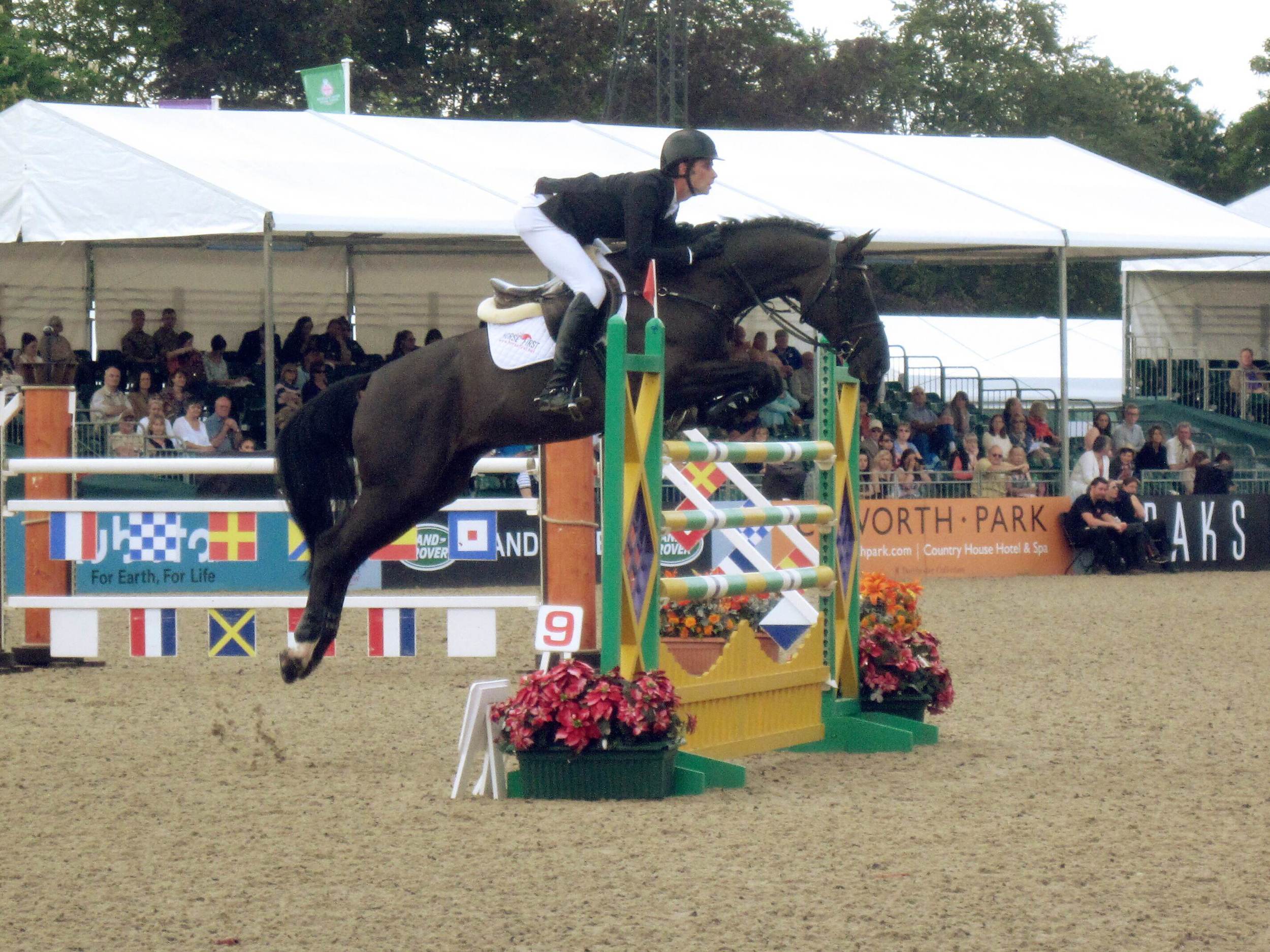 The last fence in the 1.50 - Arantos.