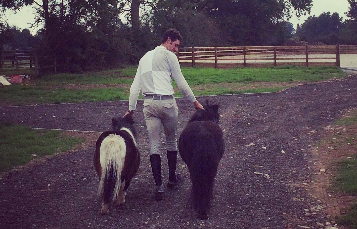 Herding the beasts at the new yard