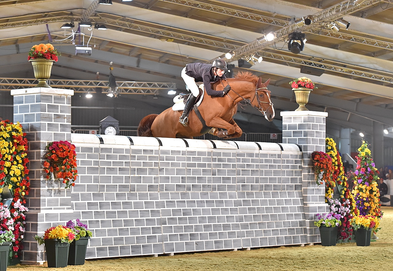 Paladin De Laume Arena UK Puissance 2014