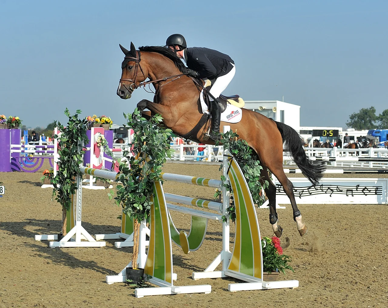 Keoki 5 yr old final qualifier