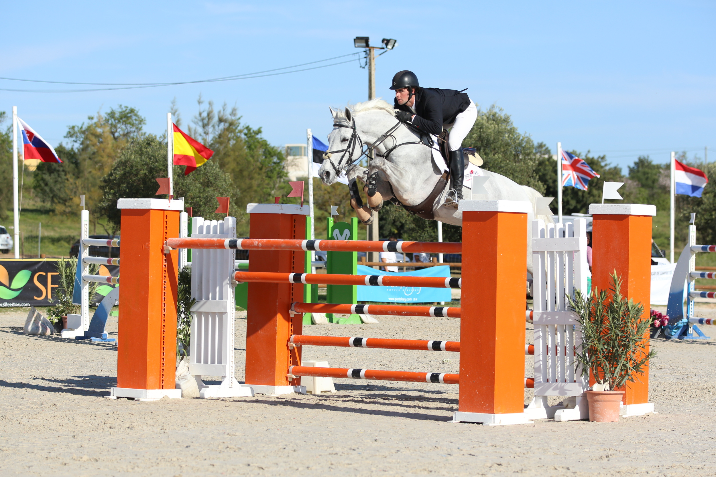 David and Chamberlain Z in the 1.45m Ranking Class