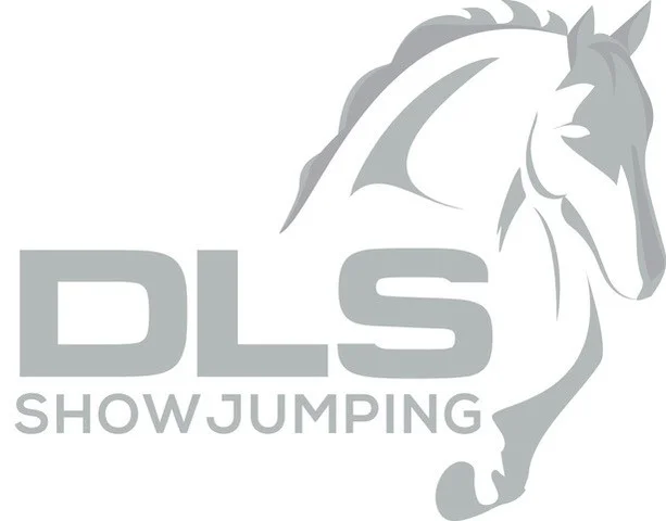 New DLS Logo.jpg