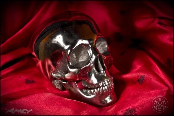 3D printed metal skull