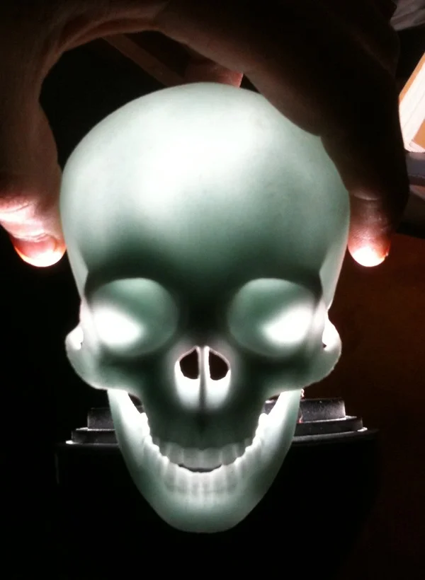 3D printed glass skull, illuminated.