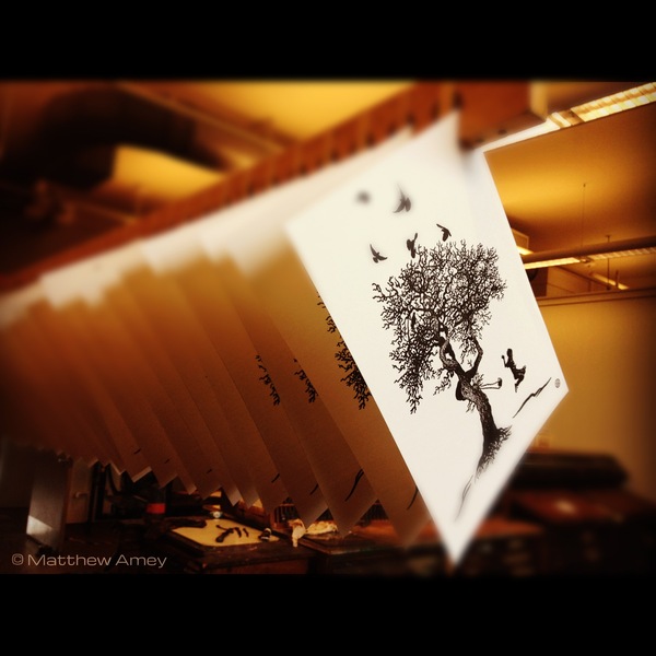 Prints on the drying rack.