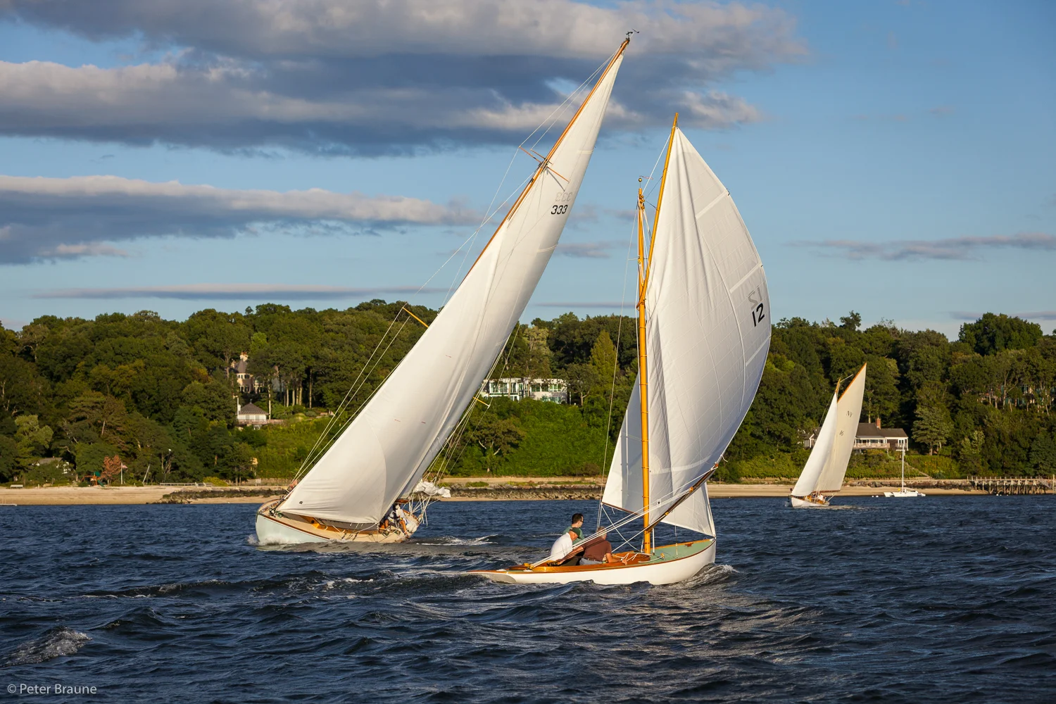 BRAUNE_130905_2878.jpg